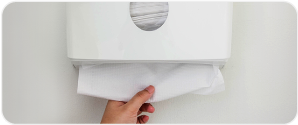 Paper Towels, Tissues & Dispensers