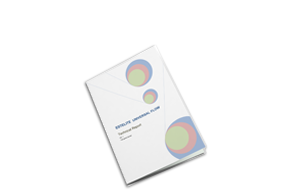 Universal Flow Technical Report
