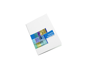 Estelite Posterior Technical Report