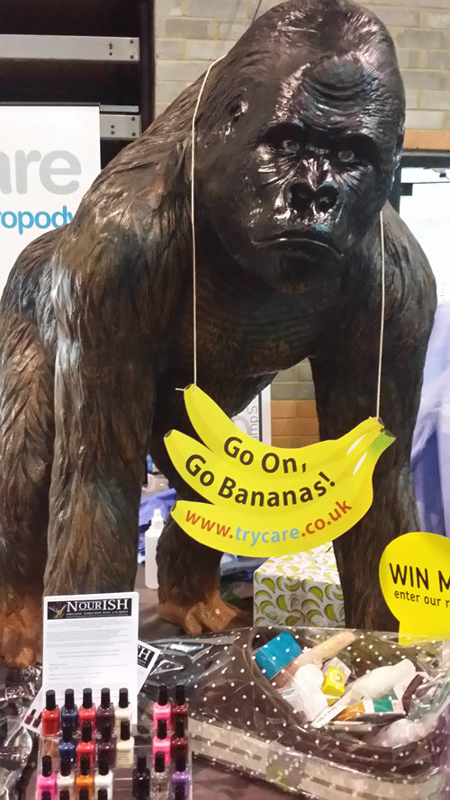 Foothealth Show Winner