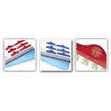 Directa Molar Polycarbonate Crowns..