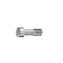 Spare Screw for Angled Titanium Abutment..