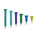 Surgident Bone Screws..