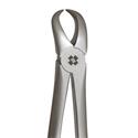 Anaqua Forceps Extraction 87 Cowhorn..