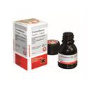 Endomethasone Liquid 10ml