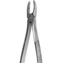 Hu-Friedy Extraction Forceps 2 SM Premolar..