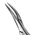 Hu-Friedy Upper Roots Serrated Extraction Forceps..