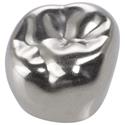 3M™ Stainless Steel Crowns for Permanent Molars..