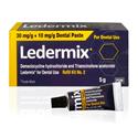 Ledermix 2 Paste 5g