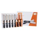 Transcend Universal Composite Syringe 4g