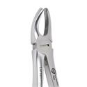 Perfection Plus Deluxe Extraction Forceps 39..