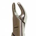 Perfection Plus Deluxe Extraction Forceps 138..