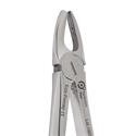 Eco+ Extraction Forceps 1..