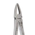 Eco+ Extraction Forceps 29..
