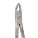 Eco+ Extraction Forceps 159