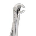 Eco+ Extraction Forceps 160..