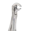 Eco+ Extraction Forceps 161..