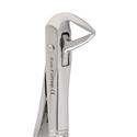 Eco+ Extraction Forceps 162..