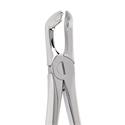 Perfection Plus Deluxe Extraction Forceps 79