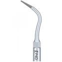 Woodpecker Scaler Perio Tip P4D