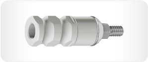 Screw / Casting Abutments