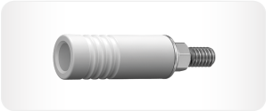 Screw / Casting Abutments