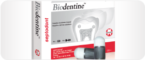 Bioactive Dentine Substitute