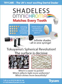 Tokuyama Omnichroma Leaflet